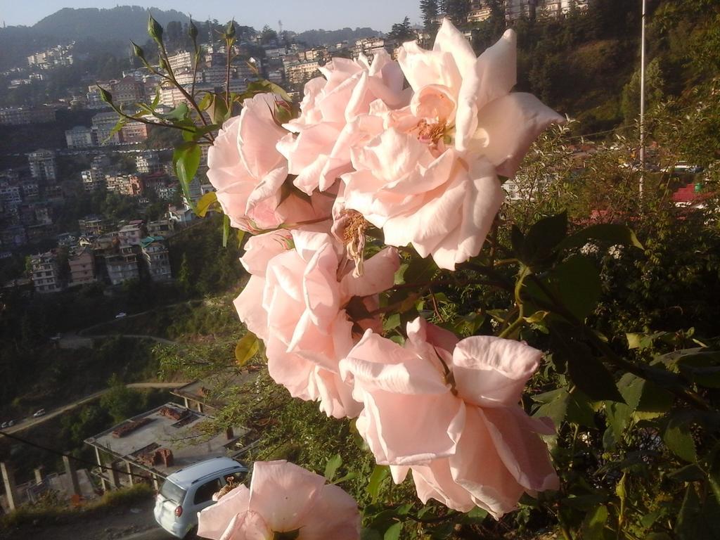 Shimla View Home Exterior foto