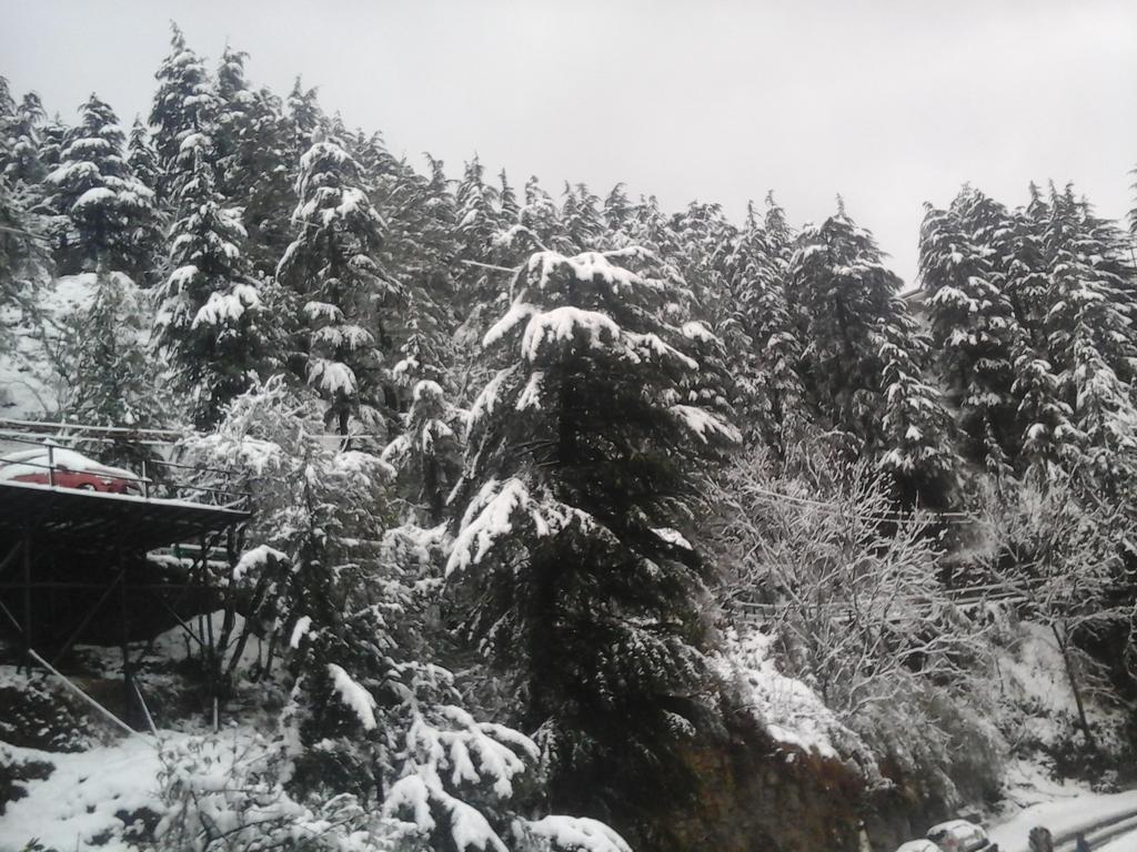 Shimla View Home Exterior foto